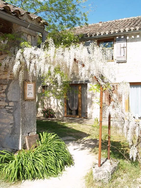 Guest house La Vayssade - Maison D'Hotes - Jacuzzi, Piscine & Truffes Lalbenque