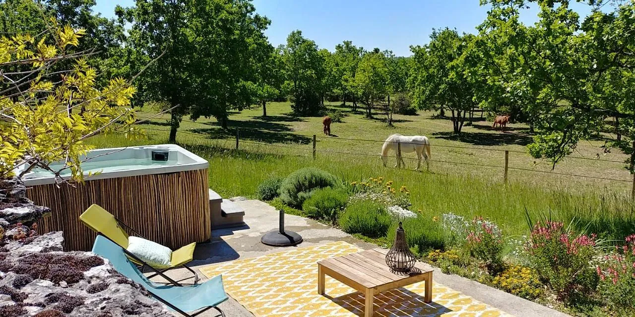 La Vayssade - Maison D'Hotes - Jacuzzi, Piscine & Truffes Lalbenque 4*,  France