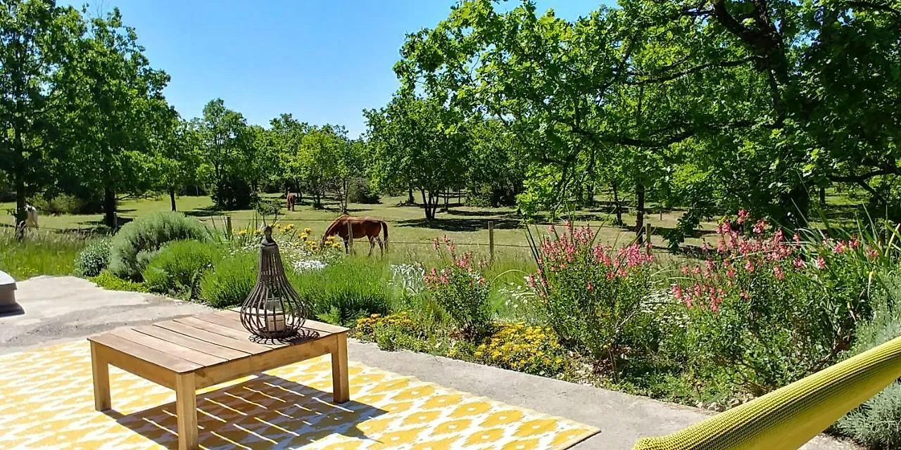 La Vayssade - Maison D'Hotes - Jacuzzi, Piscine & Truffes Lalbenque Guest house